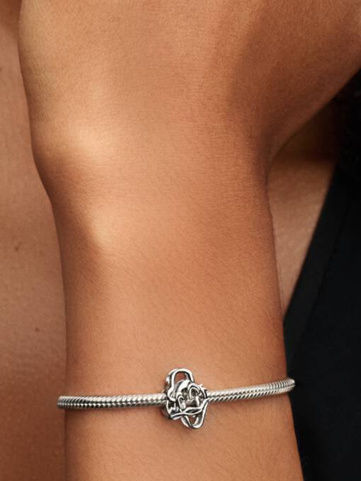 Charm Pato Donnald Plateado