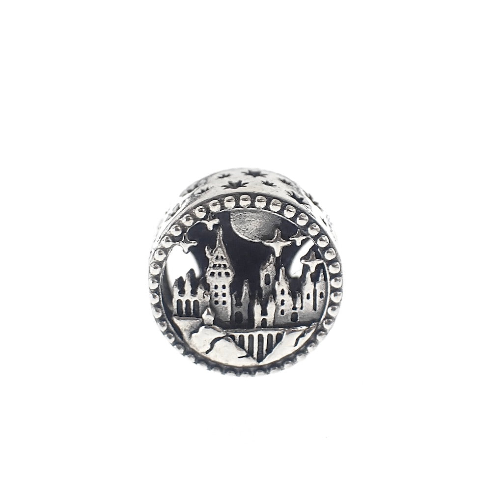 Charm Hogwartts Harry Poter
