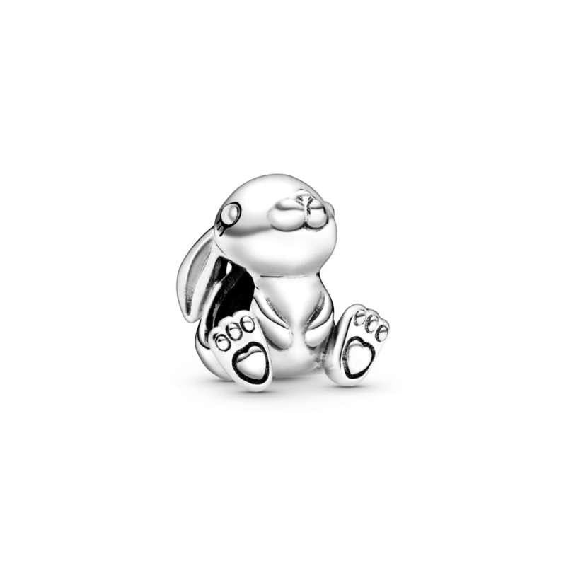 Charm Conejito Tierno