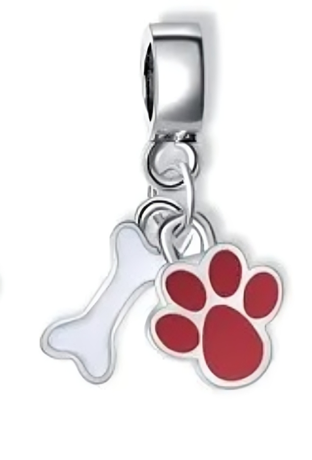 Charm Colgante Huella y Hueso