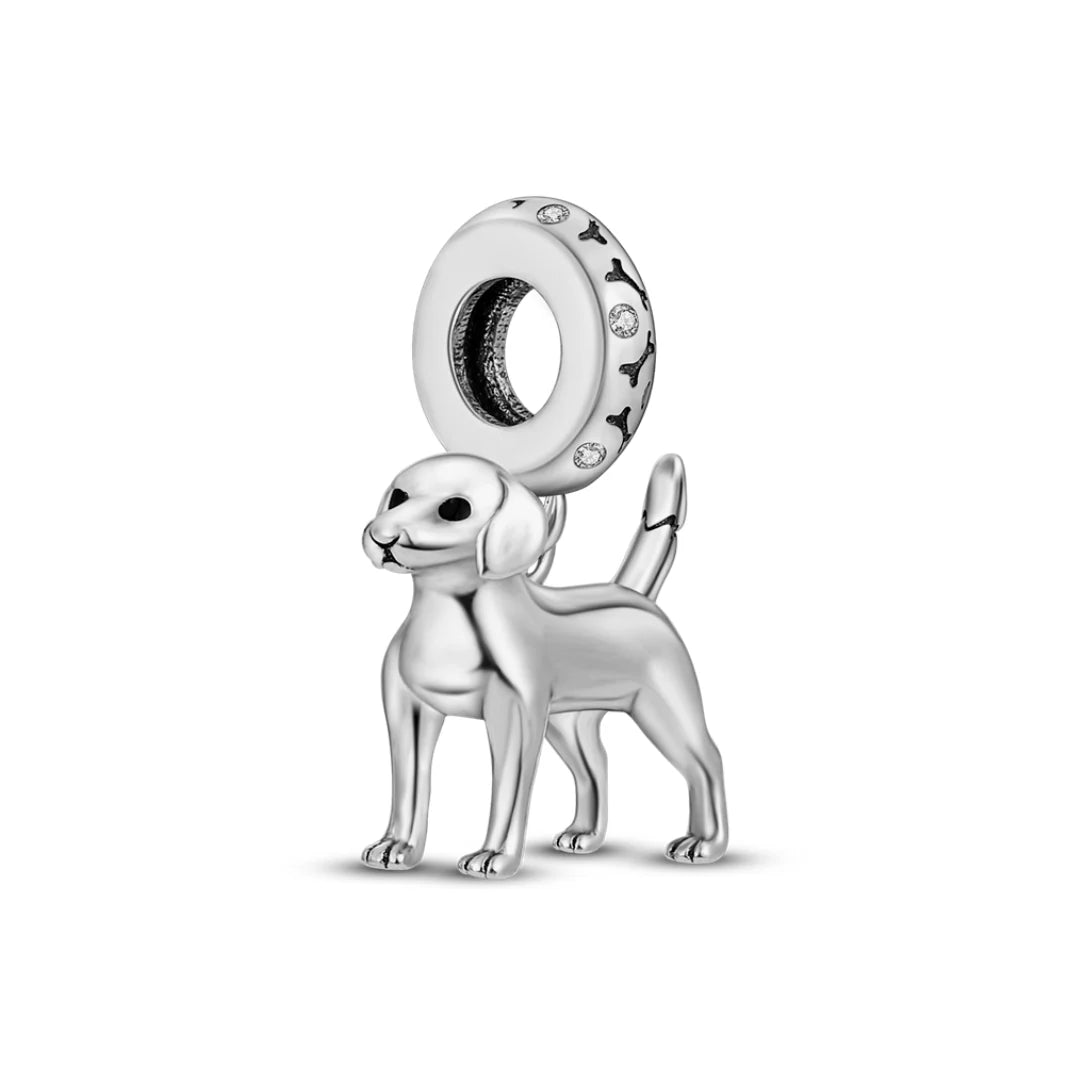 Charm "Perro Labrador"