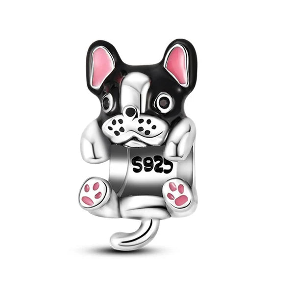 Charm Bulldog Frances