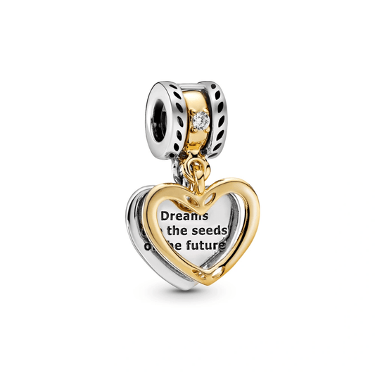 Charm "Los sueños son las semillas del futuro"