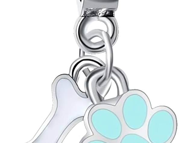 Charm Colgante Huella y Hueso