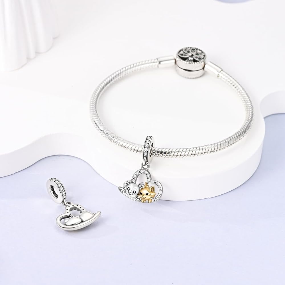 Charm Perro y Gato