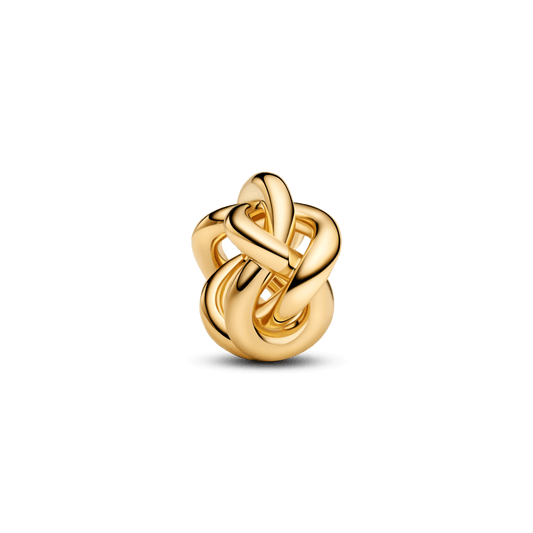 Charm Lazos Entrelazados