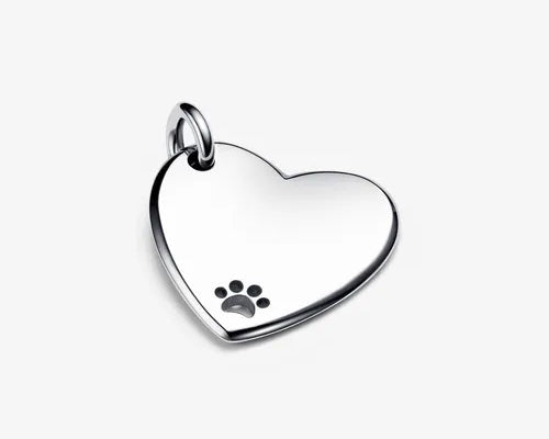 D_NQ_NP_808095-MLM54972727313_042023-O-pandora-placa-para-mascota-grabable.webp