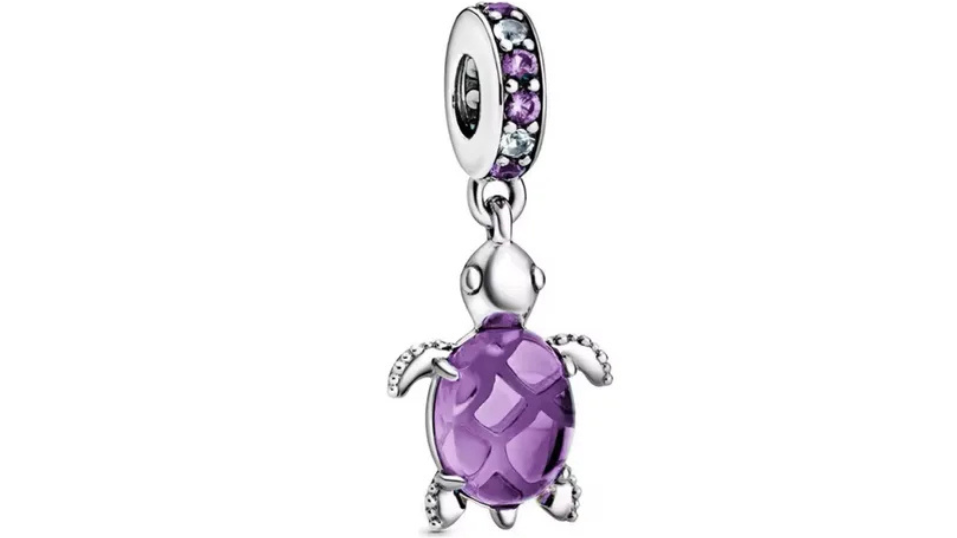 Charm Tortuga de Colores