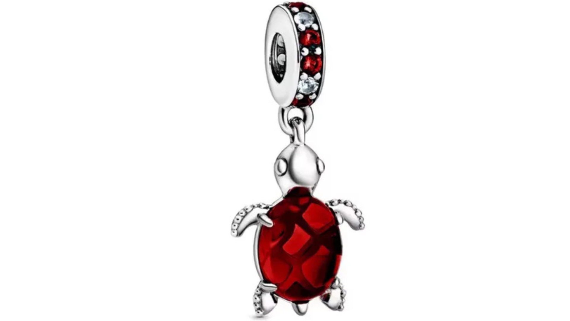 Charm Tortuga de Colores