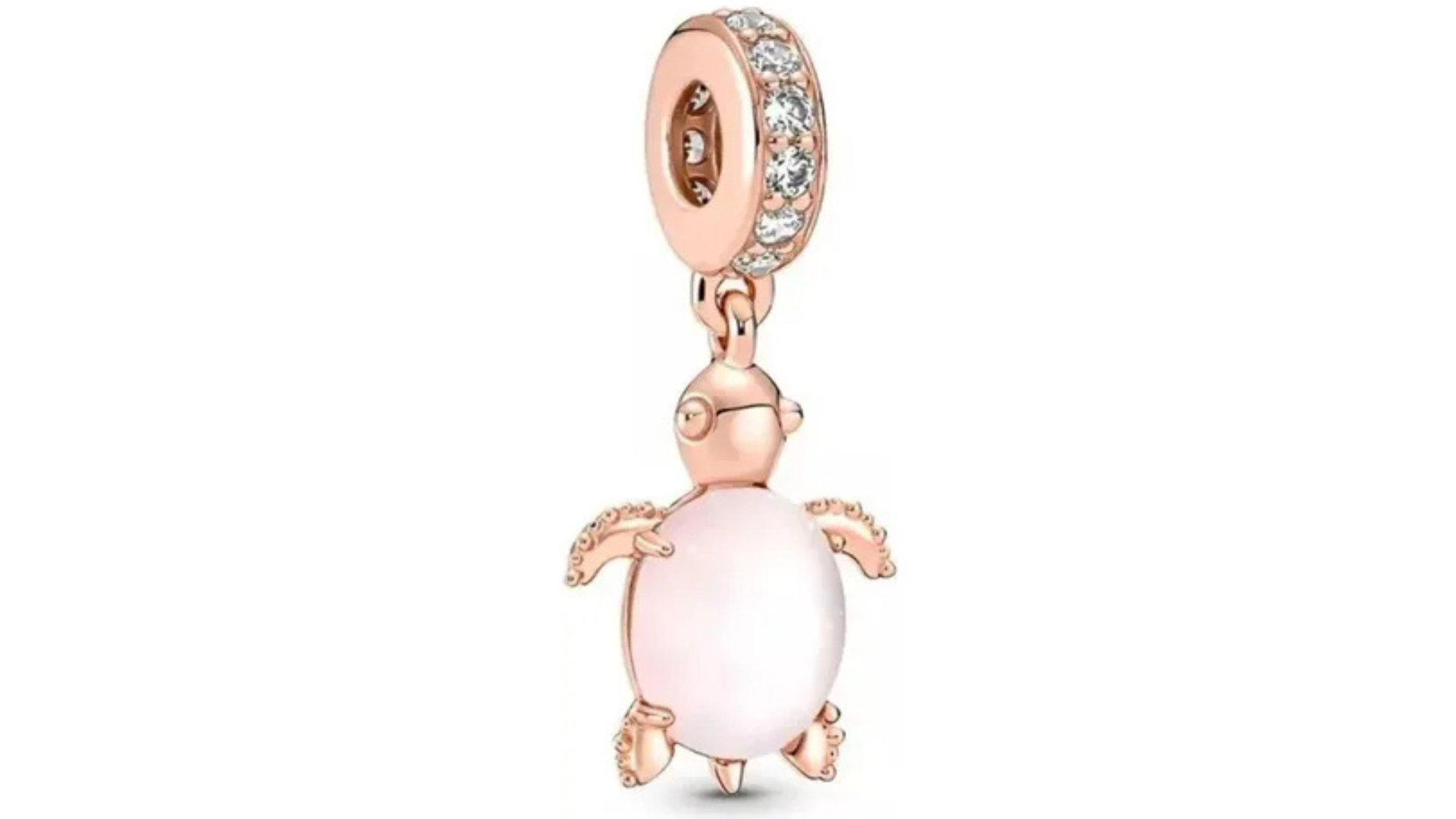 Charm Tortuga de Colores