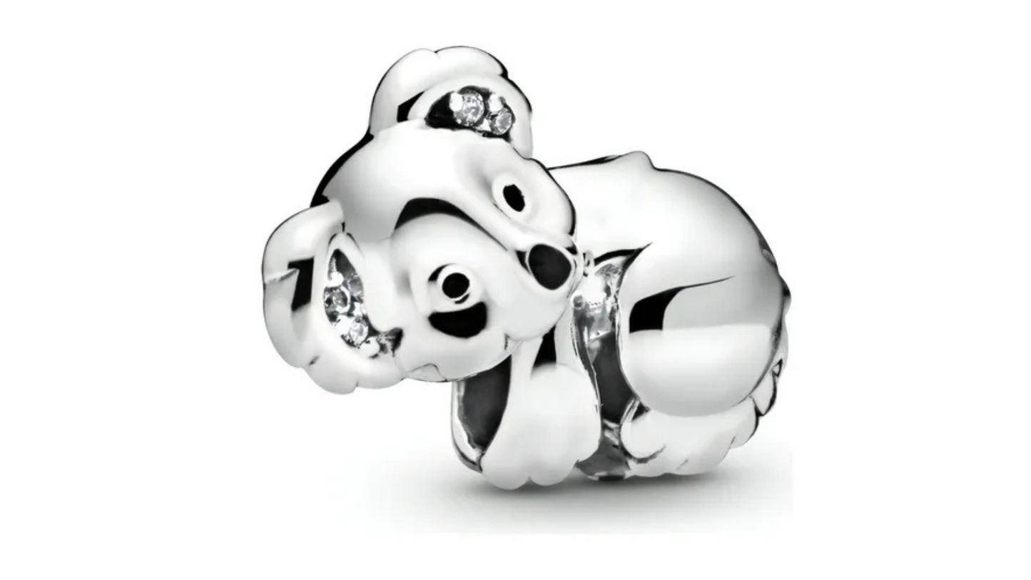 Charm Tierno Koala