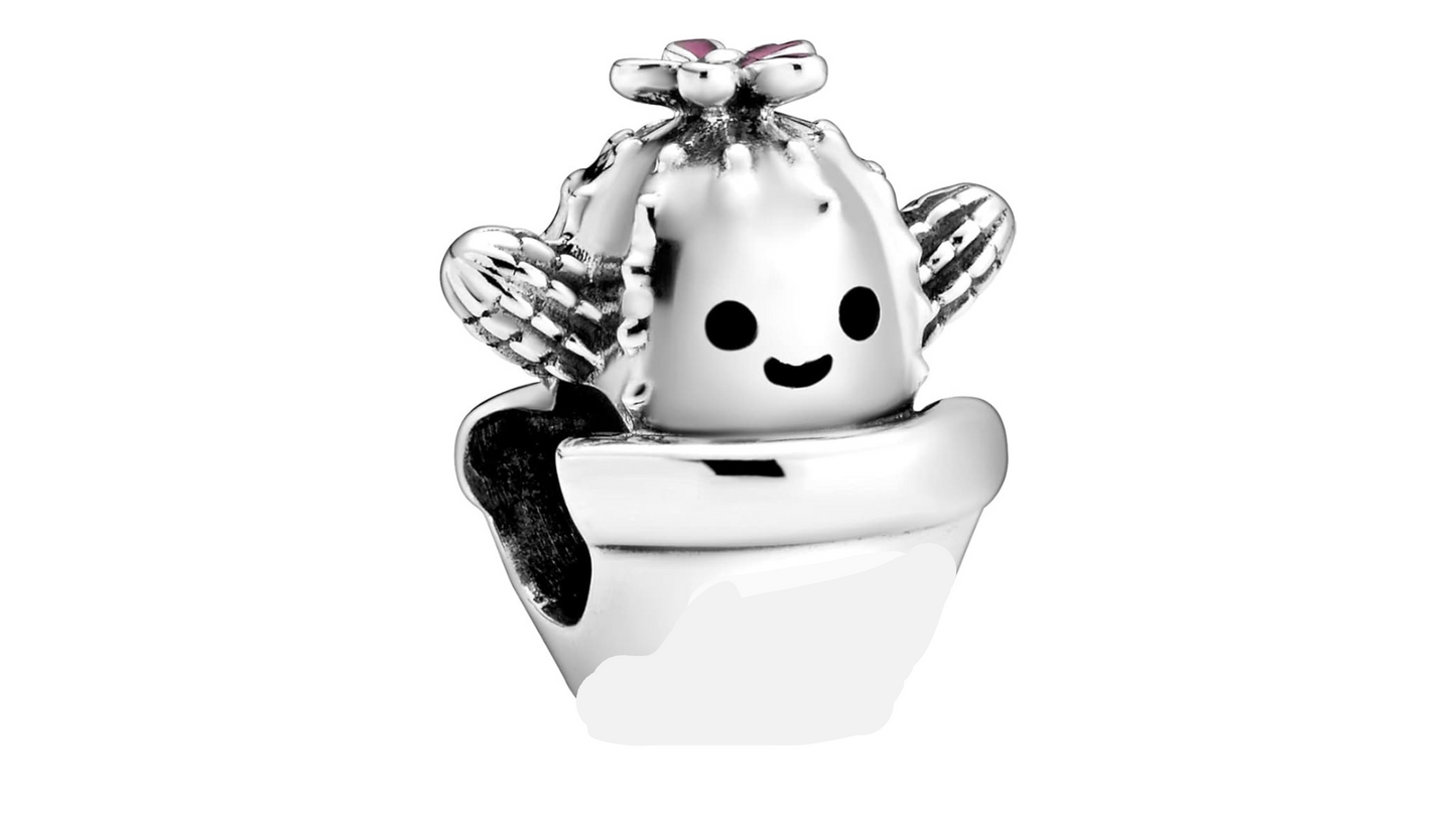 Charm Cactus Bebé