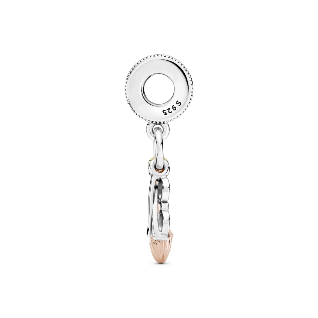 Charm Harry Potter "Quiditch"