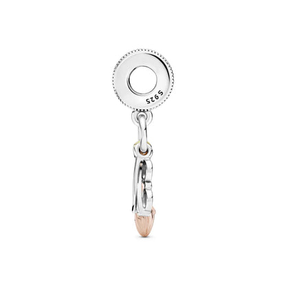 Charm Harry Potter "Quiditch"