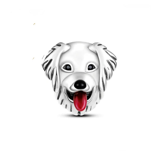 Charm Retriever