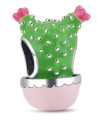 Charm Cactus con Flores