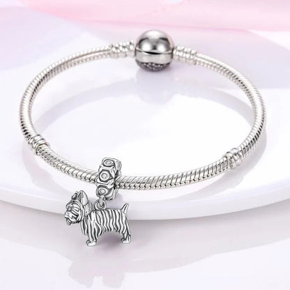 Charm Yorkshire Terrier