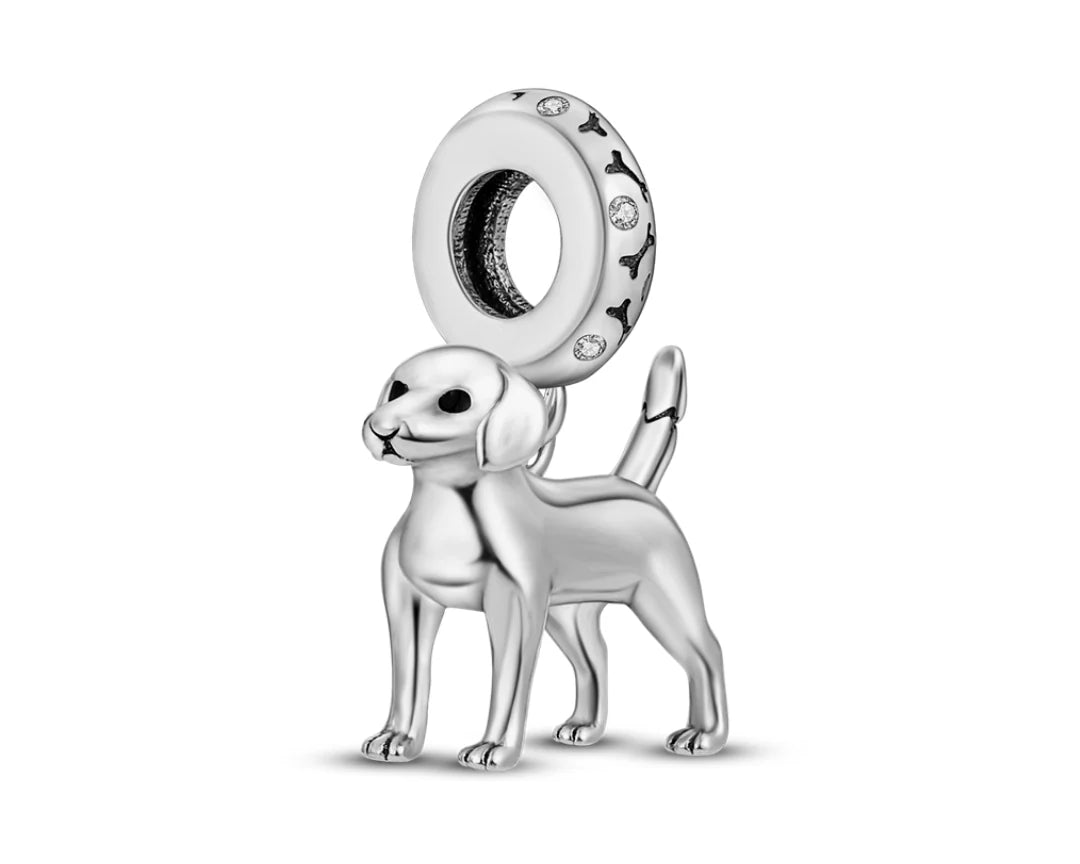image_1024x1024_2x_c03b52b4-cd86-453b-821d-e6779e2f9617.webp