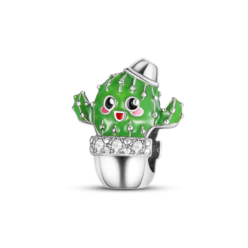 Charm Cactus Tierno